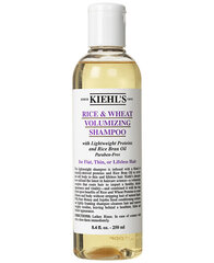 Šampūnas Rice & Wheat Volumizing Shampoo, 250 ml kaina ir informacija | Šampūnai | pigu.lt