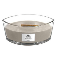 WoodWick kvapioji žvakė Sacred Smoke Elipsa, 453,6 g kaina ir informacija | Žvakės, Žvakidės | pigu.lt