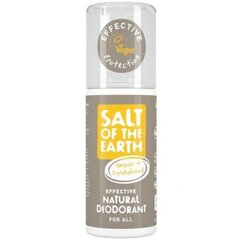 Salt-Of-The-Earth Amber Sandalwood Natural Deodorant - Natural deodorant spray with ambergris and sandalwood 100ml цена и информация | Дезодоранты | pigu.lt