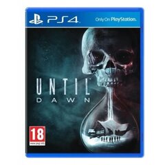 Until Dawn, Sony PS4 цена и информация | Компьютерные игры | pigu.lt
