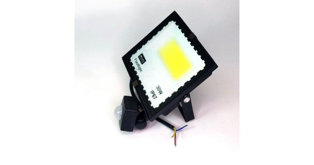 30W LED prožektorius su judesio davikliu 6500k mINI IP67 цена и информация | Lauko šviestuvai | pigu.lt
