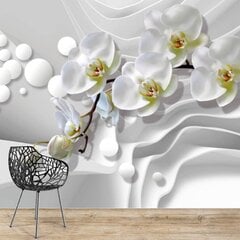 Fototapetai - Orchidėjų švelnumas kaina ir informacija | Fototapetai | pigu.lt