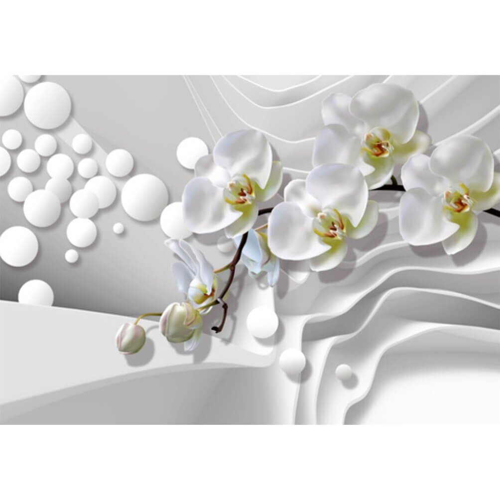 Fototapetai - Orchidėjų švelnumas цена и информация | Fototapetai | pigu.lt