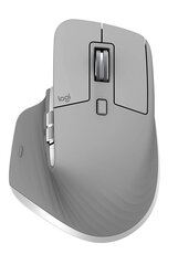 Logitech 910-005695, pilka kaina ir informacija | Pelės | pigu.lt