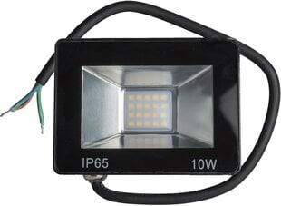 LED prožektorius Omega 10W 4200K цена и информация | Фонари и прожекторы | pigu.lt