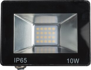 Omega LED прожектор 10W 4200K (43859) цена и информация | Фонари и прожекторы | pigu.lt