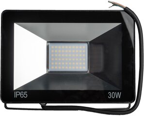 LED prožektorius Omega 30W 4200K цена и информация | Фонари и прожекторы | pigu.lt