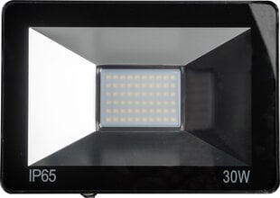 LED prožektorius Omega 30W 4200K цена и информация | Фонари и прожекторы | pigu.lt