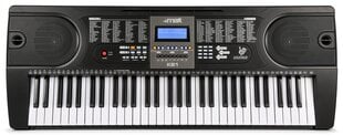 Sintezatorius MAX KB1 61 kaina ir informacija | Klavišiniai muzikos instrumentai | pigu.lt