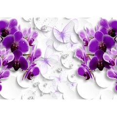 Fototapetai - Orchidėjos brangakmeniai цена и информация | Фотообои с инструментом и клеем - Бежевые листья эвкалипта, 400x280 см | pigu.lt