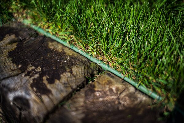 Vejos bordiūras „Bradas“ Lawn Board, žalias kaina ir informacija | Tvoros ir jų priedai | pigu.lt