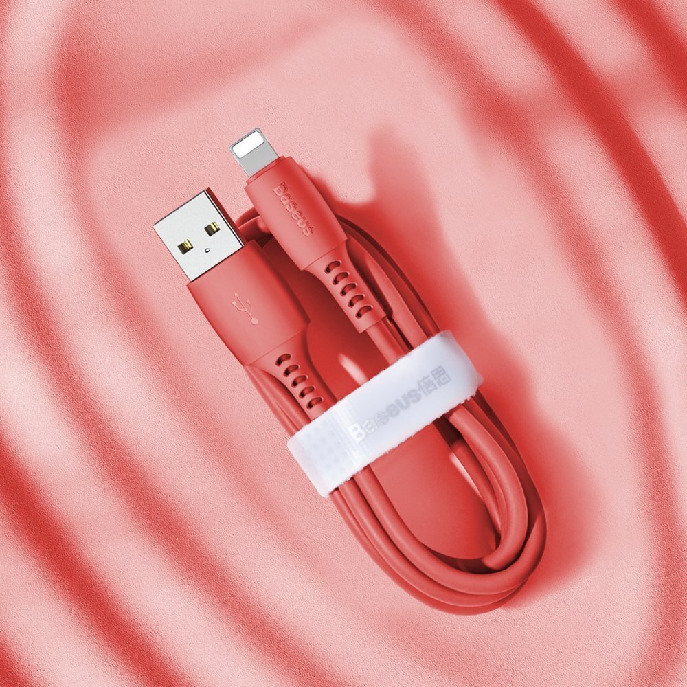 Baseus, USB / Lightning, 1.2m цена и информация | Laidai telefonams | pigu.lt