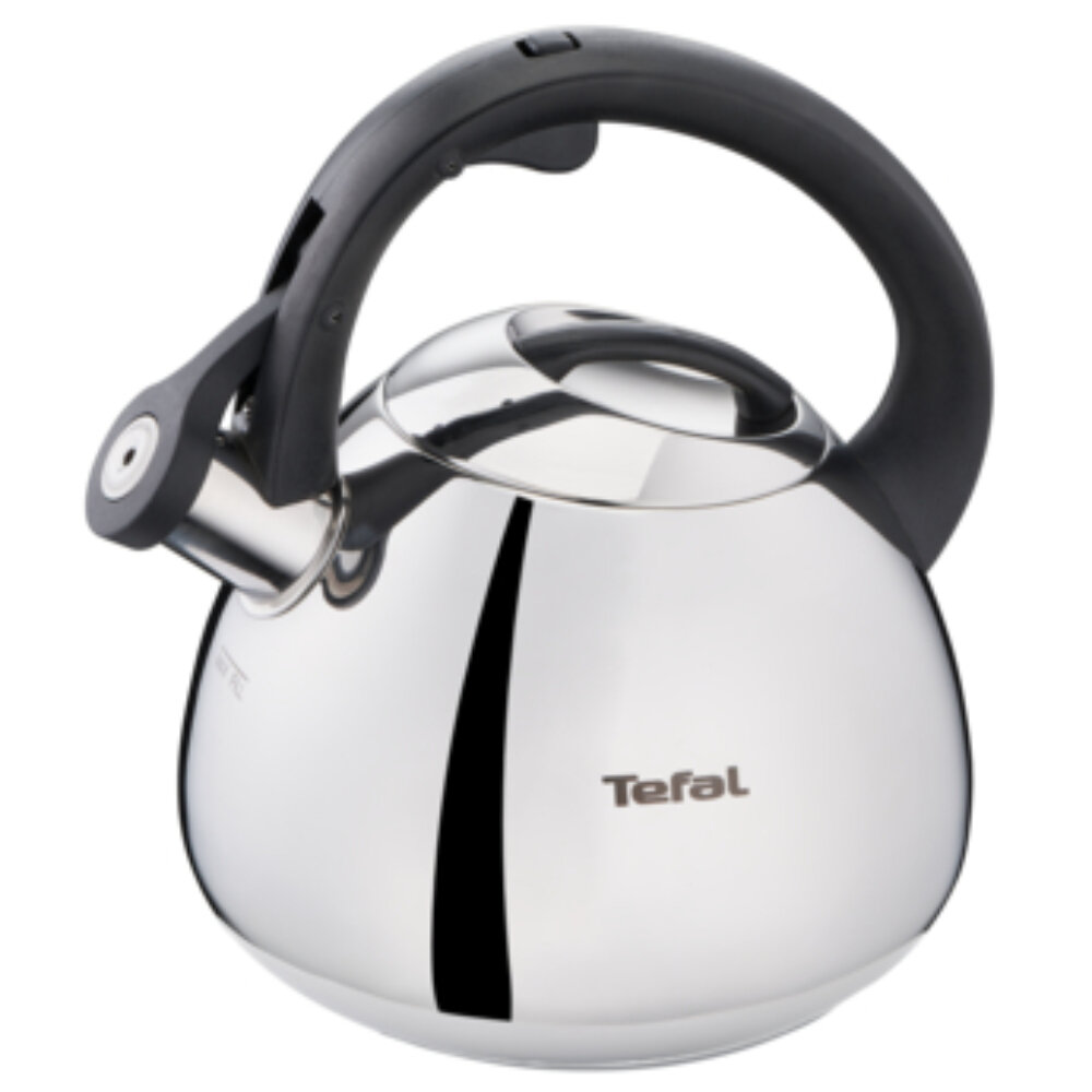 Tefal virdulys kaina ir informacija | Kavinukai, virduliai | pigu.lt