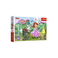 Dėlionė Tref l„Princesė Sofija" 30 det. kaina ir informacija | Dėlionės (puzzle) | pigu.lt