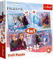 TREFL dėlionė Ledo šalis 2 (Frozen 2 ) 4in1 цена и информация | Dėlionės (puzzle) | pigu.lt
