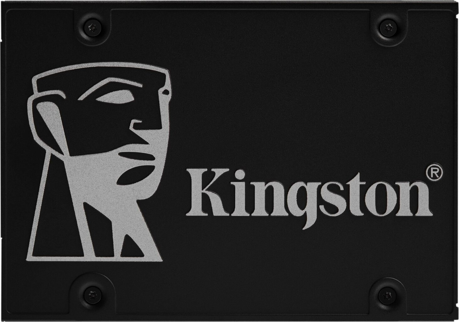 Kingston SKC600B/256G kaina ir informacija | Vidiniai kietieji diskai (HDD, SSD, Hybrid) | pigu.lt