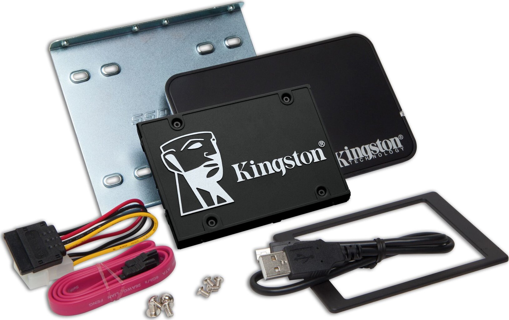 Kingston SKC600B/256G kaina ir informacija | Vidiniai kietieji diskai (HDD, SSD, Hybrid) | pigu.lt