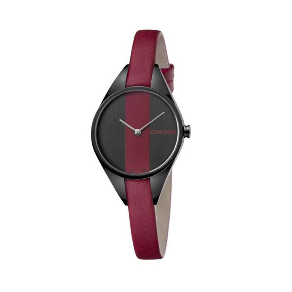 Laikrodis moterims Calvin Klein 16032 kaina ir informacija | Moteriški laikrodžiai | pigu.lt