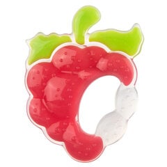 Canpol Babies Силиконовый прорезыватель для зубов Raspberry, 51/004 цена и информация | Прорезыватели | pigu.lt