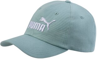 Kepurė vaikams Puma ESS Cap Jr Green kaina ir informacija | Kepurės, pirštinės, šalikai berniukams | pigu.lt