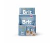 Brit Premium Cat Delicate konservai katėms maišelyje Chicken for Kitten 85g x 24vnt цена и информация | Konservai katėms | pigu.lt