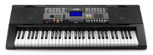 Sintezatorius MAX KB3 61 kaina ir informacija | Klavišiniai muzikos instrumentai | pigu.lt