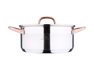 Bergner puodas su dangčiu Infinity Chefs, 20 cm, 2,3 l kaina ir informacija | Puodai, greitpuodžiai | pigu.lt