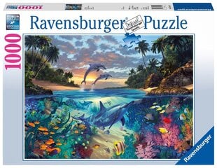 Пазл Ravensburger Coral Bay, 1000 дет. цена и информация | Пазлы | pigu.lt