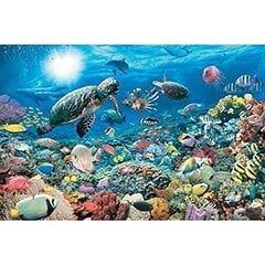 Пазл Ravensburger Under the sea, 5000 д. цена и информация | Пазлы | pigu.lt