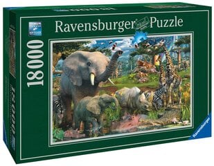 Dėlionė džiunglės Ravensburger, 18000 d. kaina ir informacija | Dėlionės (puzzle) | pigu.lt