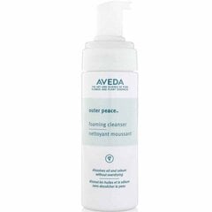 Valomosios putos Aveda Outer Peace Foam, 125 ml цена и информация | Средства для очищения лица | pigu.lt