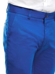 Штаны Mister, синие цена и информация | Мужские брюки | pigu.lt