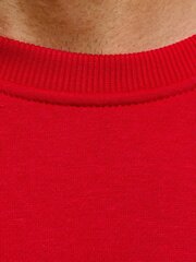 Džemperis Vurt, raudonas kaina ir informacija | Džemperiai vyrams | pigu.lt