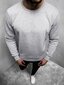 Džemperis Vurt, pilkas kaina ir informacija | Džemperiai vyrams | pigu.lt
