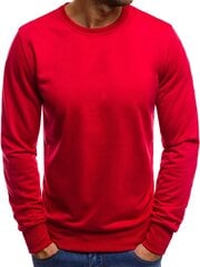 Džemperis vyrams Global, raudonas цена и информация | Мужские толстовки | pigu.lt