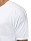 Marškinėliai vyrams Tatoo, balti kaina ir informacija | Vyriški marškinėliai | pigu.lt