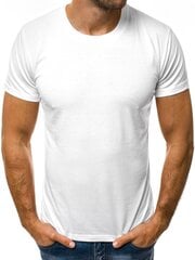 Футболка мужская Lika, белая цена и информация | Мужские футболки | pigu.lt