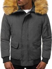 Зимняя мужская куртка-бомбер Lemor цена и информация | Мужские куртки | pigu.lt
