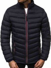 Куртка мужская "Омир" цена и информация | Мужские куртки | pigu.lt