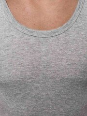 Футболка мужская Noril, серая цена и информация | Мужские футболки | pigu.lt