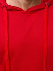 Džemperis su gobtuvu vyrams Gift, raudonas цена и информация | Мужские толстовки | pigu.lt