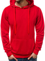 Džemperis su gobtuvu vyrams Gift, raudonas kaina ir informacija | Džemperiai vyrams | pigu.lt