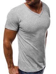 Marškinėliai vyrams Grande, pilki kaina ir informacija | Vyriški marškinėliai | pigu.lt