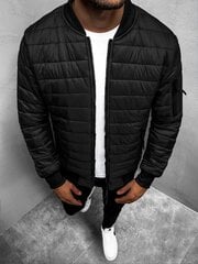 Куртка мужская Минти, черная цена и информация | Мужские куртки | pigu.lt