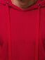 Vyriškas bordo spalvos džemperis "Evid" kaina ir informacija | Džemperiai vyrams | pigu.lt