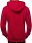Vyriškas bordo spalvos džemperis "Evid" цена и информация | Džemperiai vyrams | pigu.lt