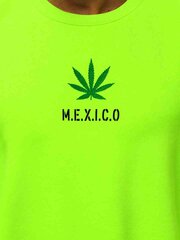 Džemperis vyrams Mexico, žalias kaina ir informacija | Džemperiai vyrams | pigu.lt
