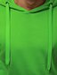 Vyriškas šviesiai žalios spalvos džemperis "Evid" kaina ir informacija | Džemperiai vyrams | pigu.lt