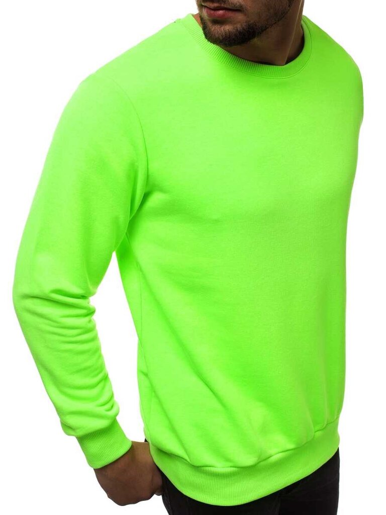 Džemperis vyrams Gastro, žalias kaina ir informacija | Džemperiai vyrams | pigu.lt