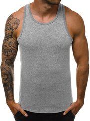 Marškinėliai vyrams Romul, pilki kaina ir informacija | Vyriški marškinėliai | pigu.lt